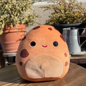 NWOT🤎 Squishmallow 5” Chocolatechip cookie